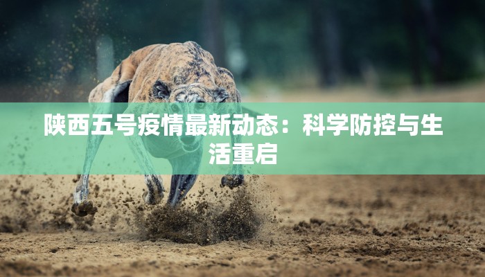 陕西五号疫情最新动态:科学防控与生活重启 陕西五号疫情最新动态:科学防控与生活重启