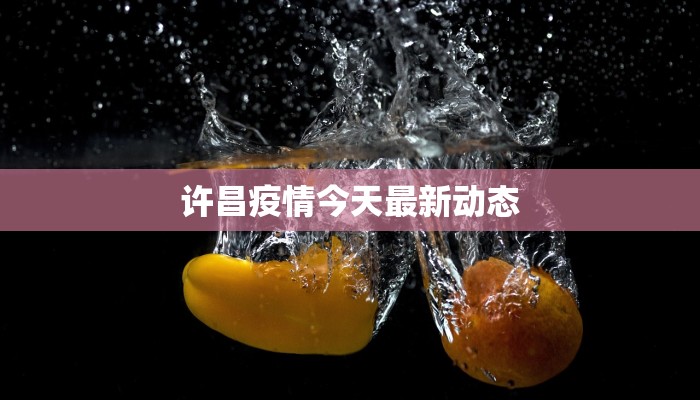 许昌疫情今天最新动态