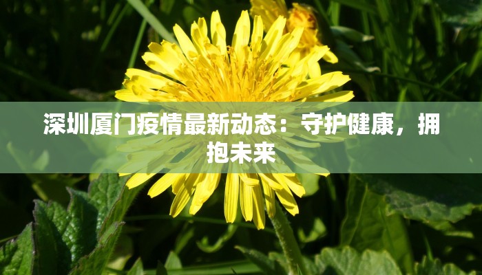 深圳厦门疫情最新动态:守护健康,拥抱未来 深圳厦门疫情最新动态:守护健康,拥抱未来