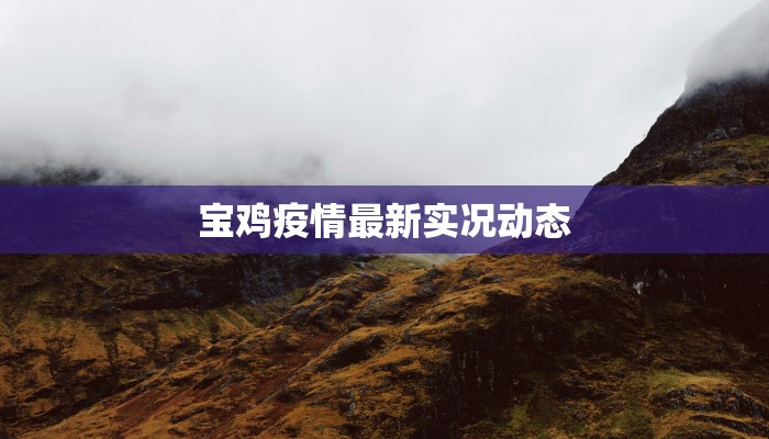 宝鸡疫情最新实况动态 宝鸡疫情最新实况动态