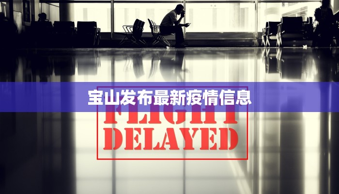 宝山发布最新疫情信息