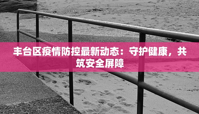 丰台区疫情防控最新动态：守护健康，共筑安全屏障
