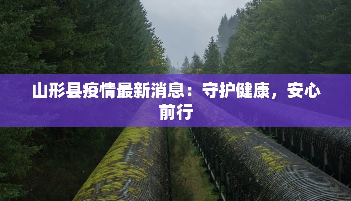 山形县疫情最新消息：守护健康，安心前行