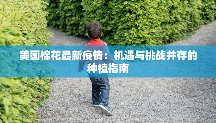 上海最新疫情在好转