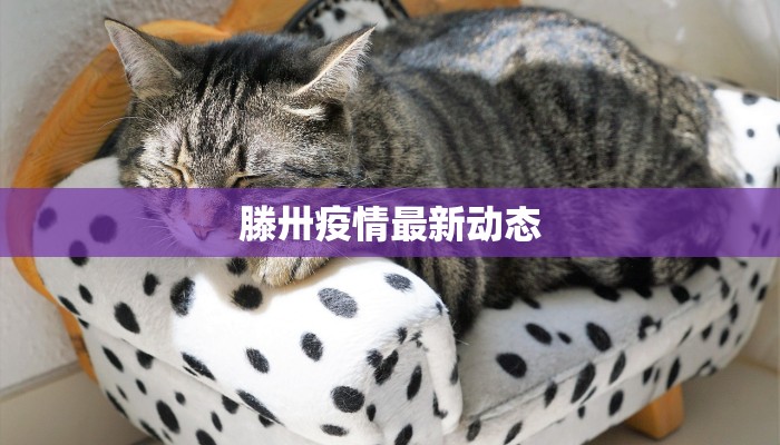 蛟河市黄松甸最新疫情：守护健康，共建平安家园