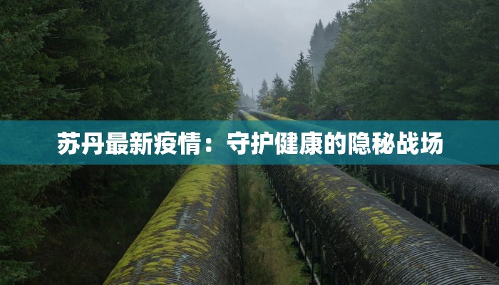苏丹最新疫情:守护健康的隐秘战场 苏丹最新疫情:守护健康的隐秘战场