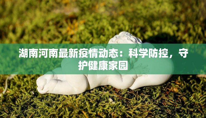 湖南河南最新疫情动态：科学防控，守护健康家园