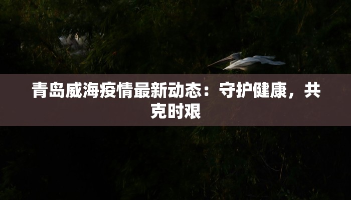 青岛威海疫情最新动态:守护健康,共克时艰 青岛威海疫情最新动态:守护健康,共克时艰