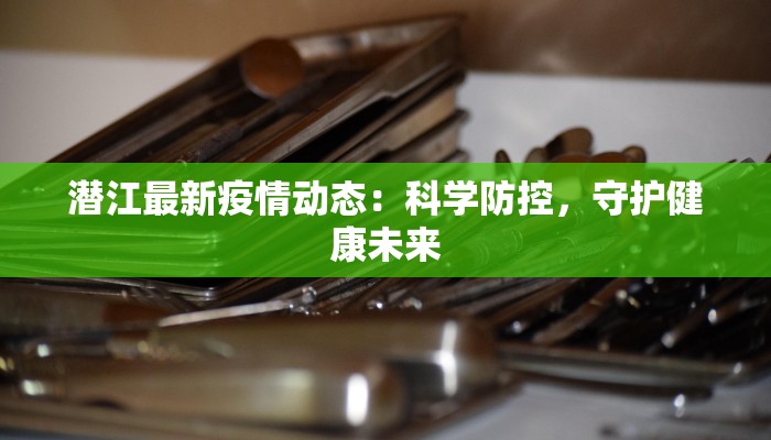 潜江最新疫情动态:科学防控,守护健康未来 潜江最新疫情动态:科学防控,守护健康未来