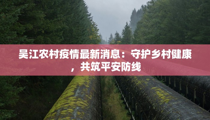 百色右江最新疫情防控：守护健康，共筑平安