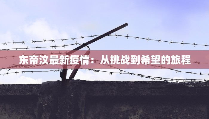 东帝汶最新疫情：从挑战到希望的旅程