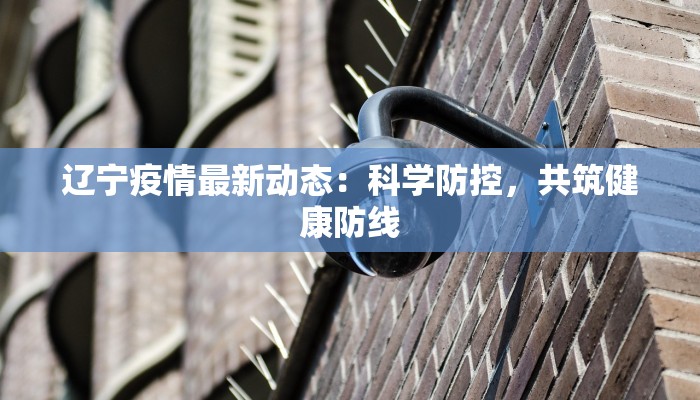 辽宁疫情最新动态：科学防控，共筑健康防线