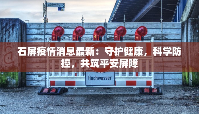 大埔高陂最新疫情防控:守护家园,共克时艰 大埔高陂最新疫情防控:守护家园,共克时艰