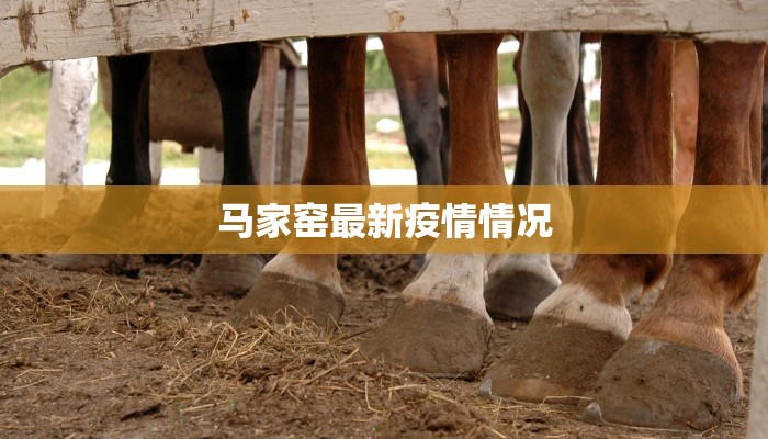 流金家园最新疫情:守护健康家园的温暖之旅 流金家园最新疫情:守护健康家园的温暖之旅