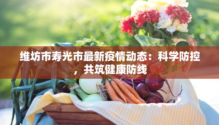 维坊市寿光市最新疫情动态：科学防控，共筑健康防线