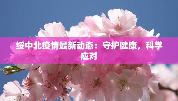 绥中北疫情最新动态:守护健康,科学应对 绥中北疫情最新动态:守护健康,科学应对