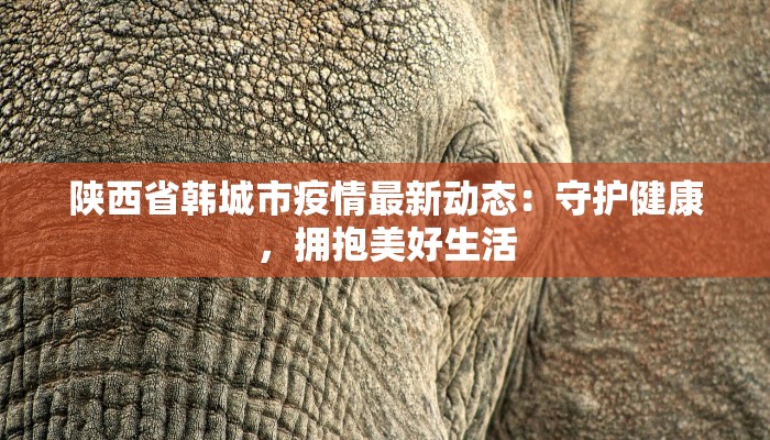 东阳防控疫情措施最新